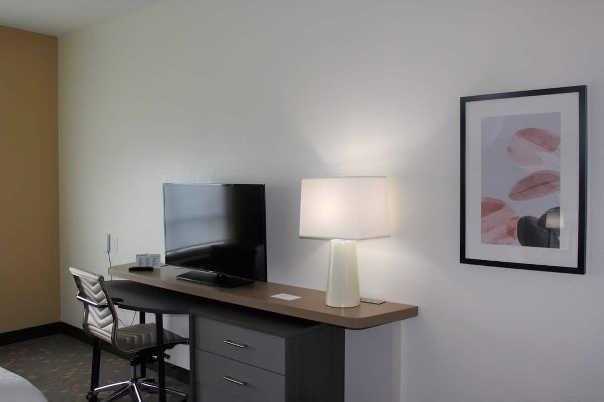 A hotel room with a desk, chair, TV, lamp, and a framed picture on the wall.