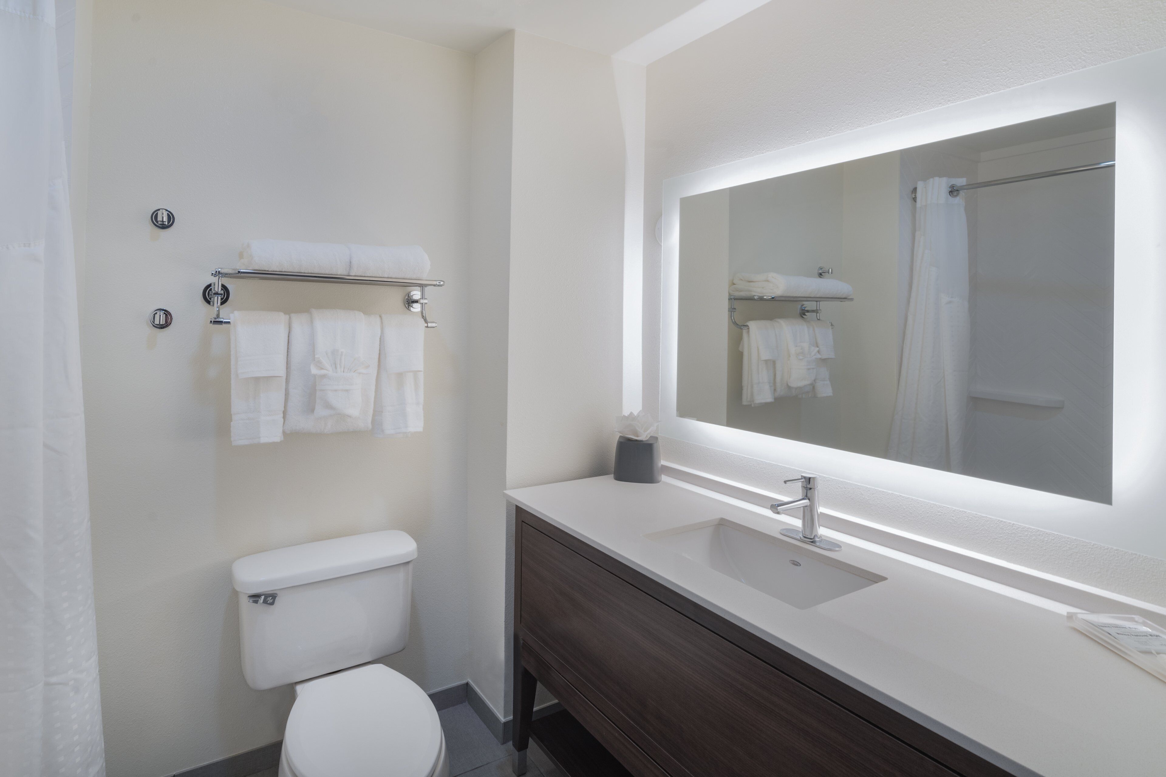 premium room, 1 king bed (top floor) | bathroom | combined shower/bathtub, hair dryer, towels, soap
