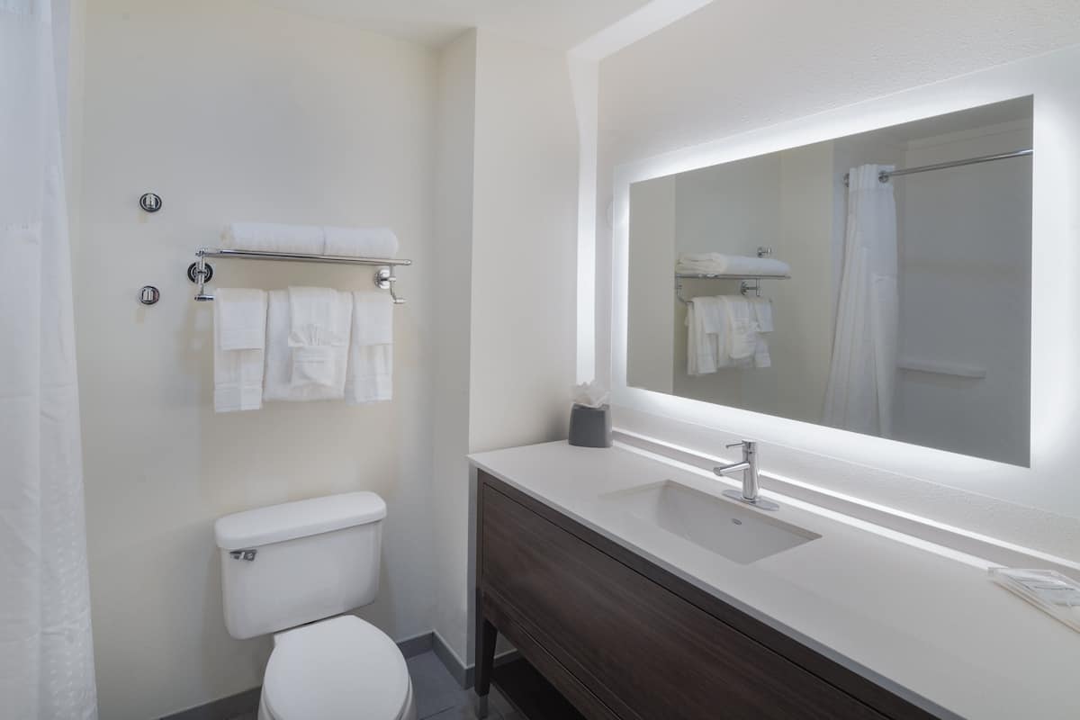 premium room, 1 king bed (top floor) | bathroom | combined shower/bathtub, hair dryer, towels, soap