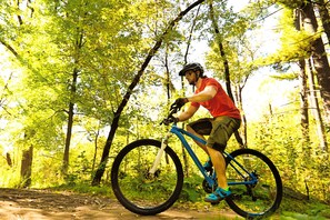 Iemand fietst op een mountainbike door een bebost gebied.