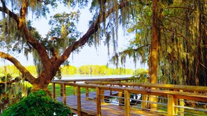 A wooden bridge with metal railings over a body of water, surrounded by trees with hanging moss. - Holiday Inn Express Hotel & Suites Inverness by IHG (Lecanto)