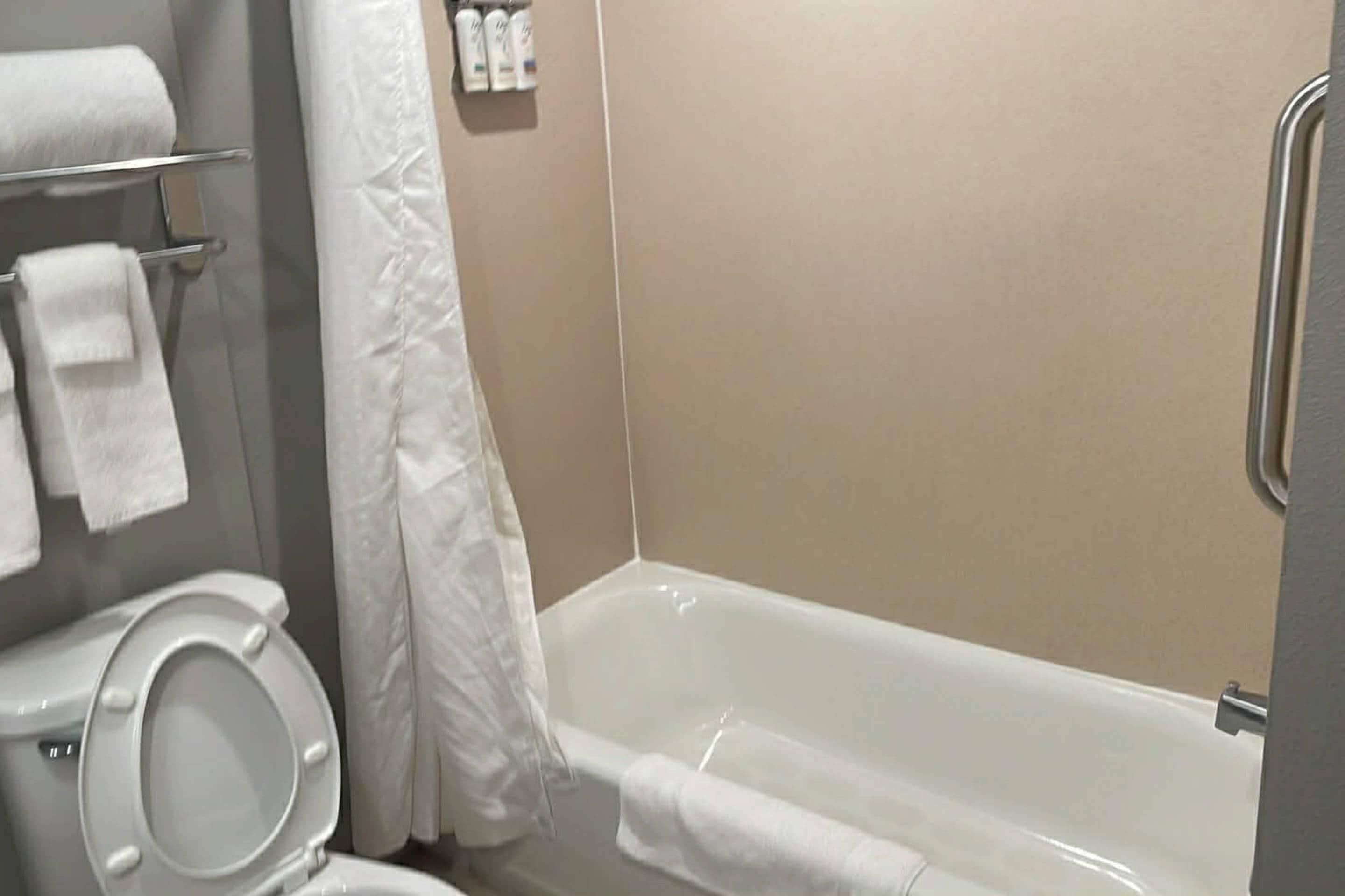 A bathroom with a toilet, a bathtub, and a shower curtain.