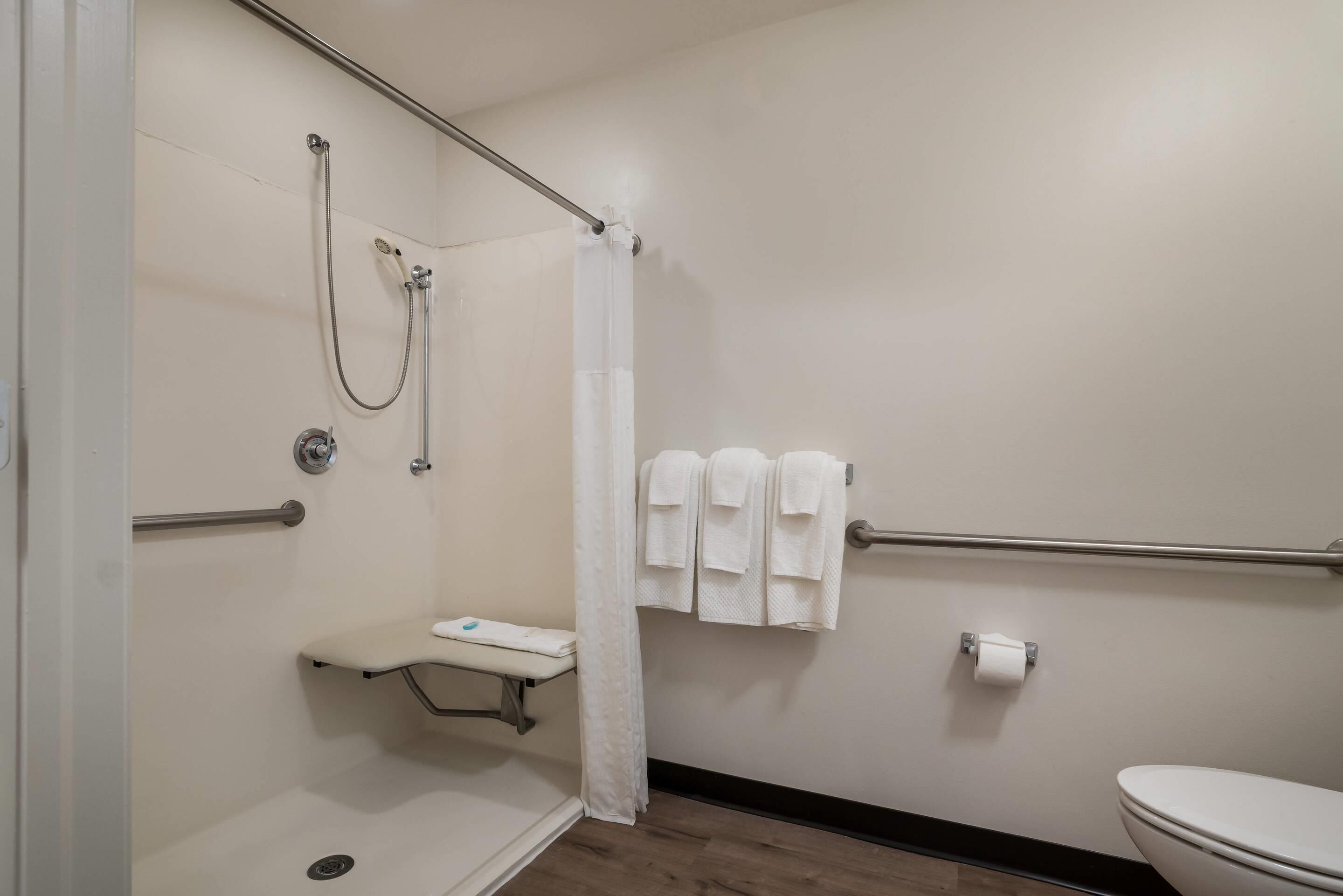 A bathroom with a shower, toilet, and a bench.
