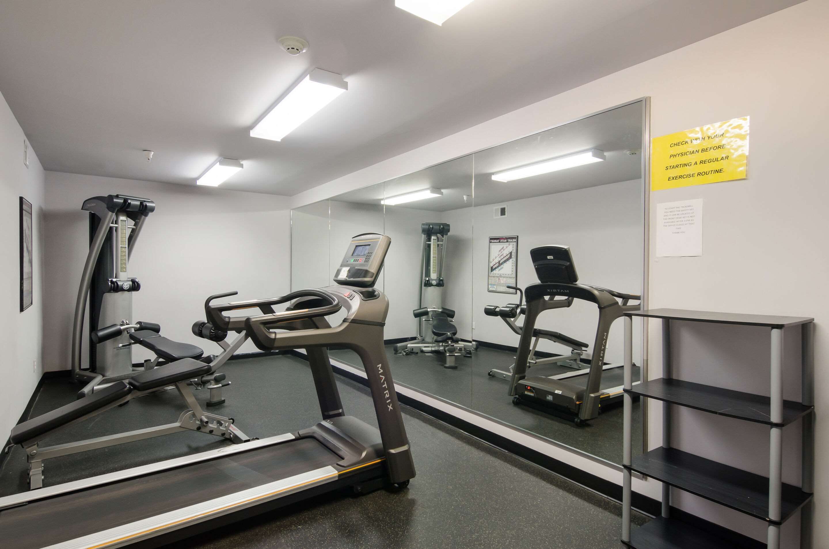 A gym with treadmills, a stationary bike, and a weight bench.
