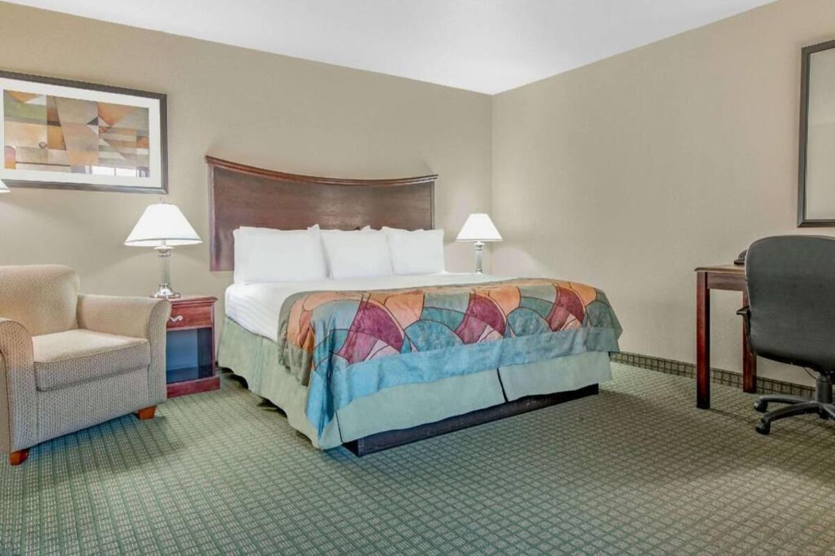 Habitación de hotel con cama, dos lámparas de noche, una silla, escritorio y un cuadro en la pared.