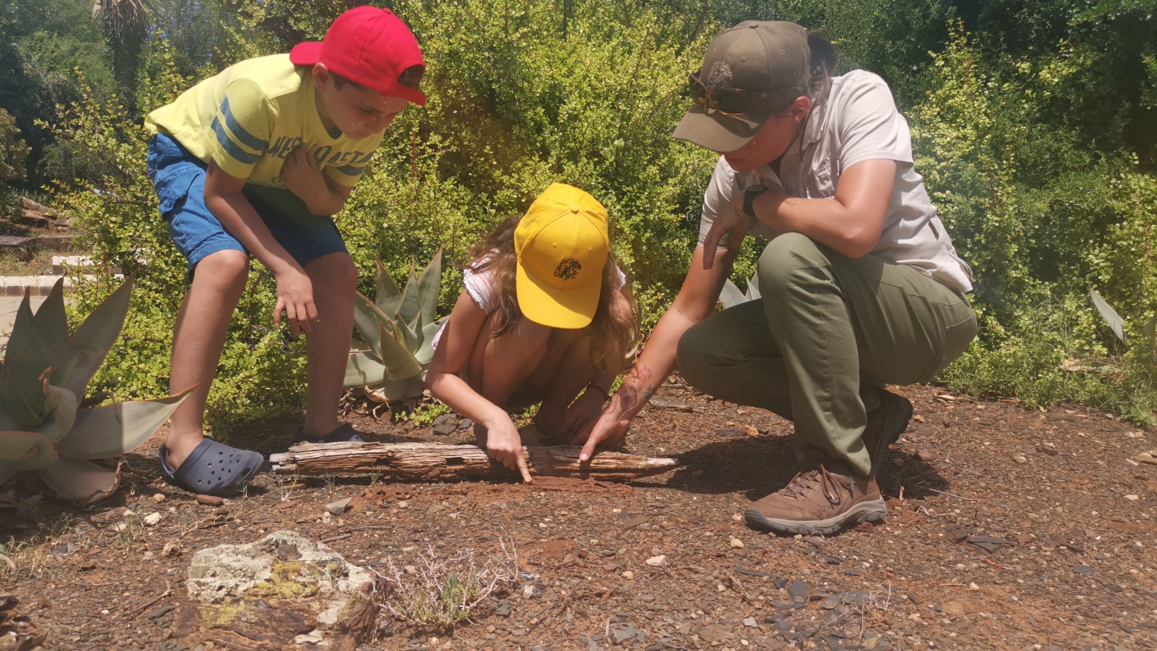 Tres personas observan un tronco sobre terreno rocoso, con vegetación al fondo.