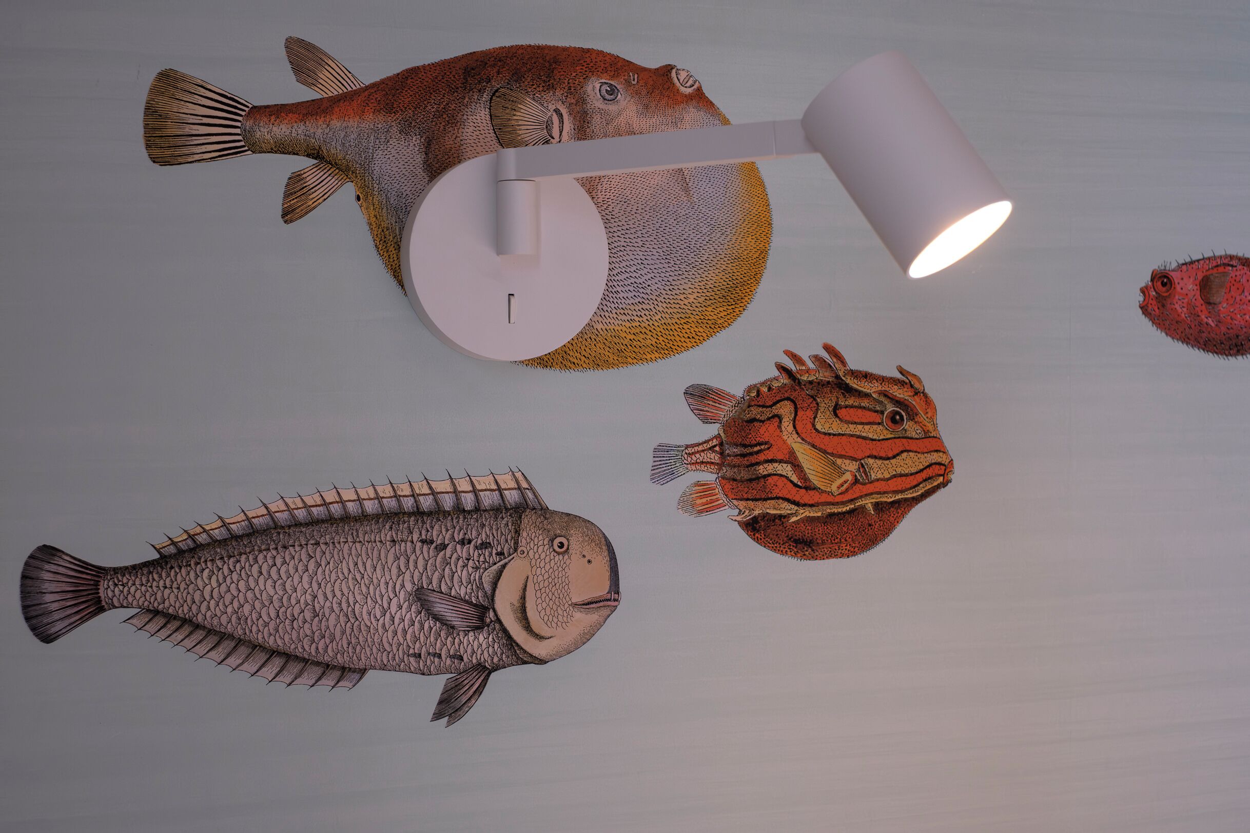 Un'opera d'arte a tema pesce, con un oggetto cilindrico e un pesce decorato con un motivo rosso.