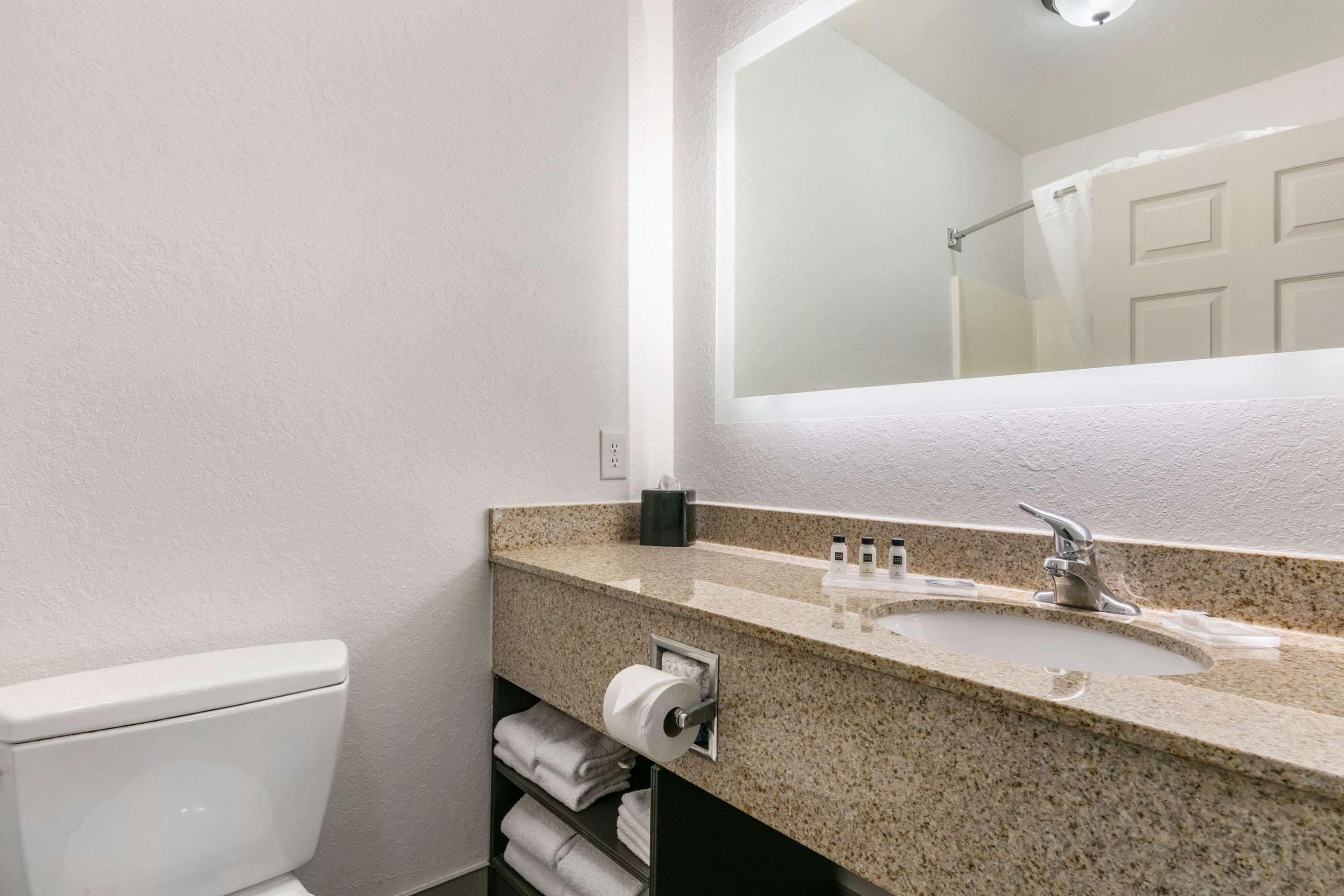A bathroom with a toilet, sink, and mirror.