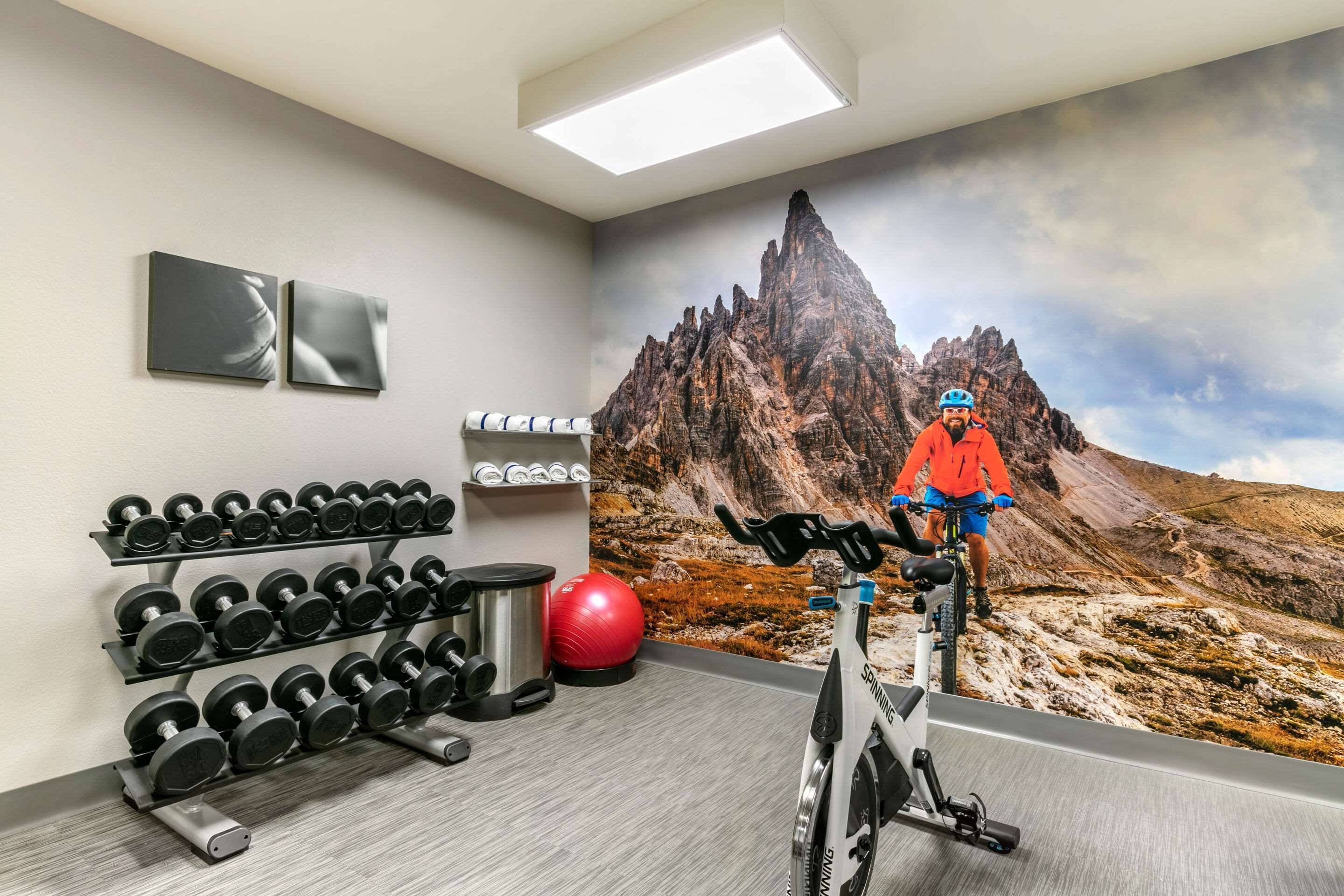 Une salle de sport avec une fresque murale représentant une montagne, des haltères, un ballon d’exercice et un vélo d’appartement.