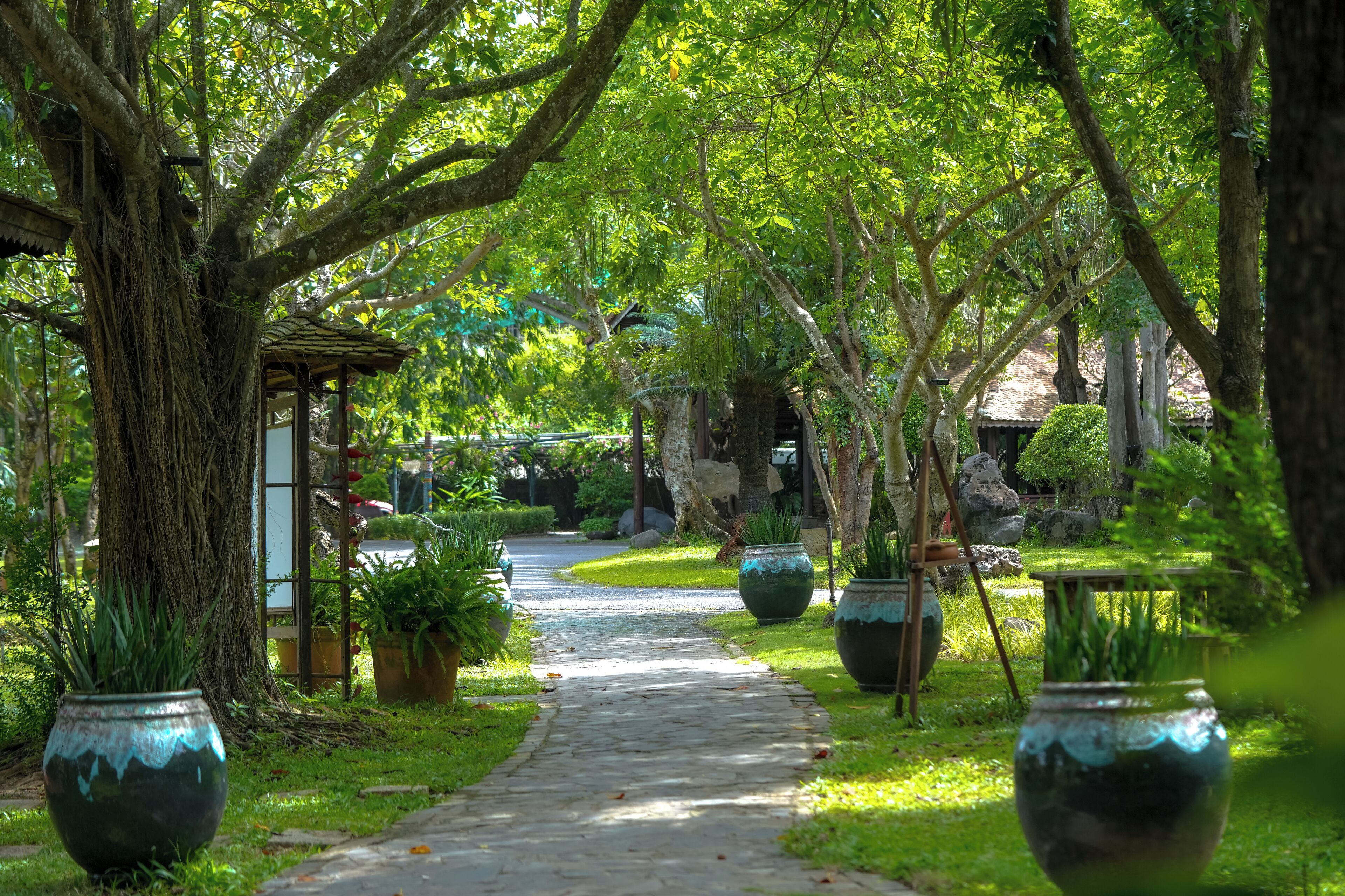 A stone pathway leading through a lush garden with large potted plants and trees.