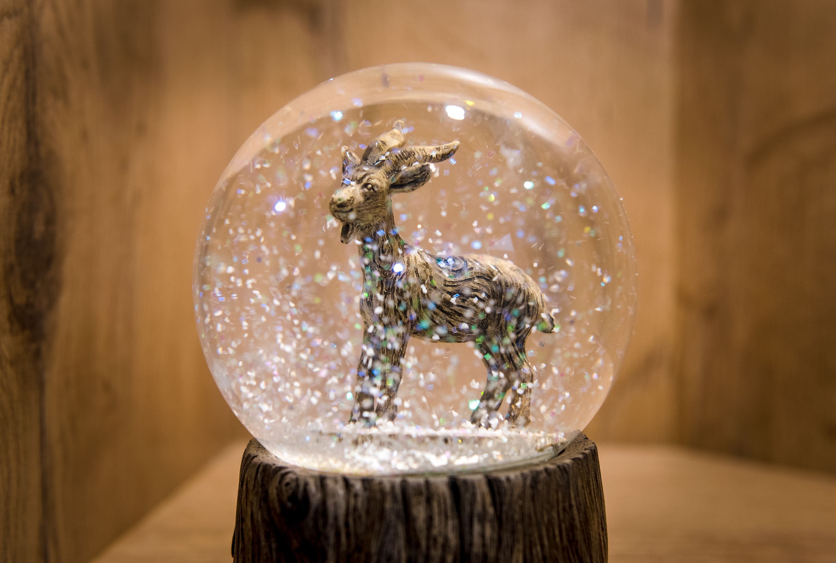A snow globe with a deer figurine.