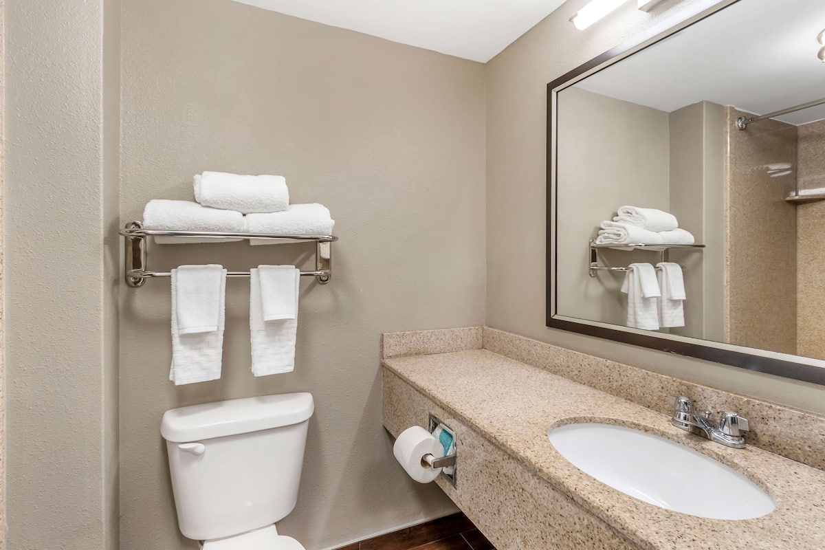 combined shower/bathtub, free toiletries, hair dryer, towels