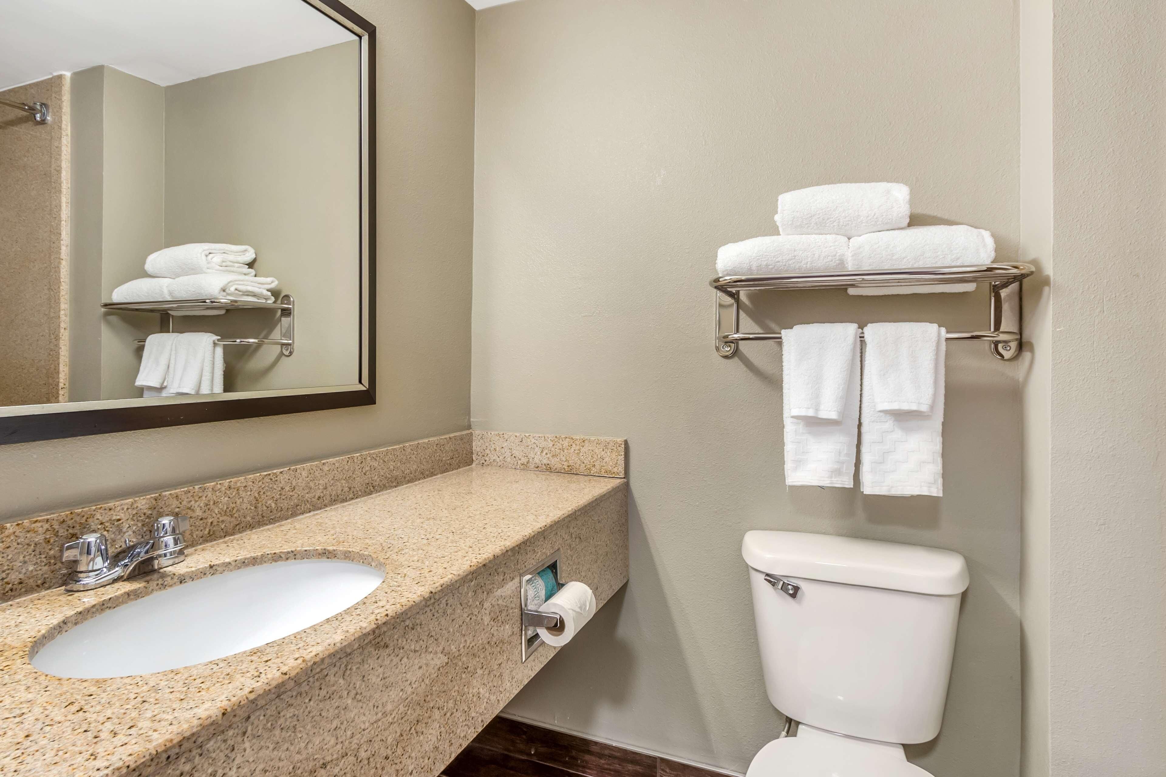 Photo - Comfort Inn & Suites North Charleston - Northwoods