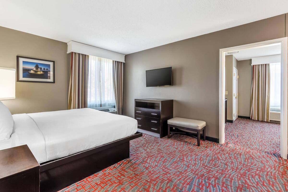 A hotel room with a bed, a TV, a desk, a chair, and a patterned carpet.