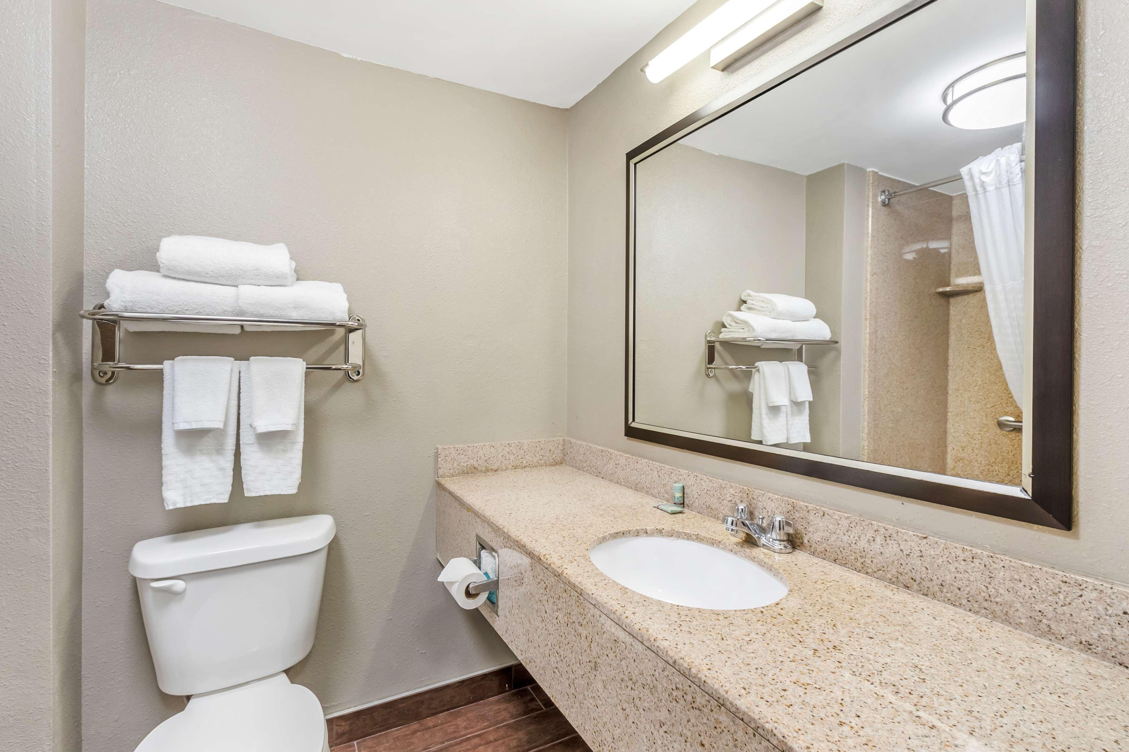 Photo - Comfort Inn & Suites North Charleston - Northwoods