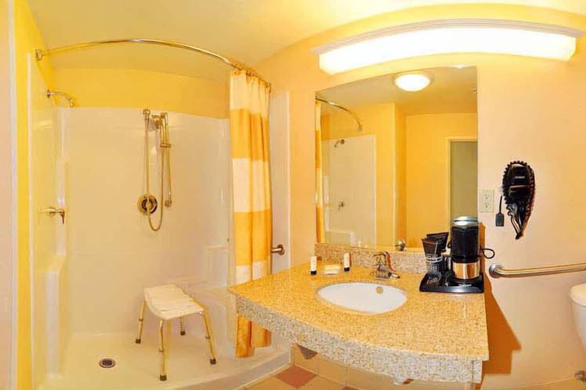 combined shower/bathtub, free toiletries, hair dryer, towels