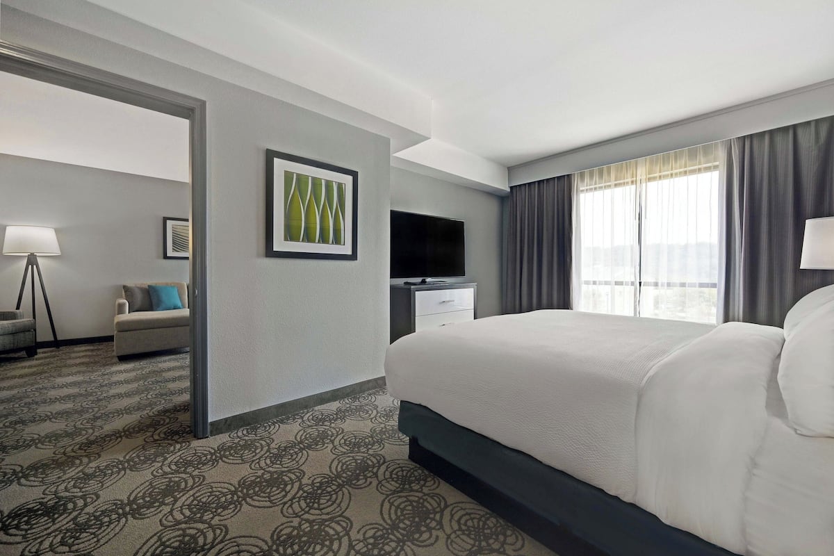Habitación de hotel con una cama grande, un televisor de pantalla plana, un escritorio y una silla.