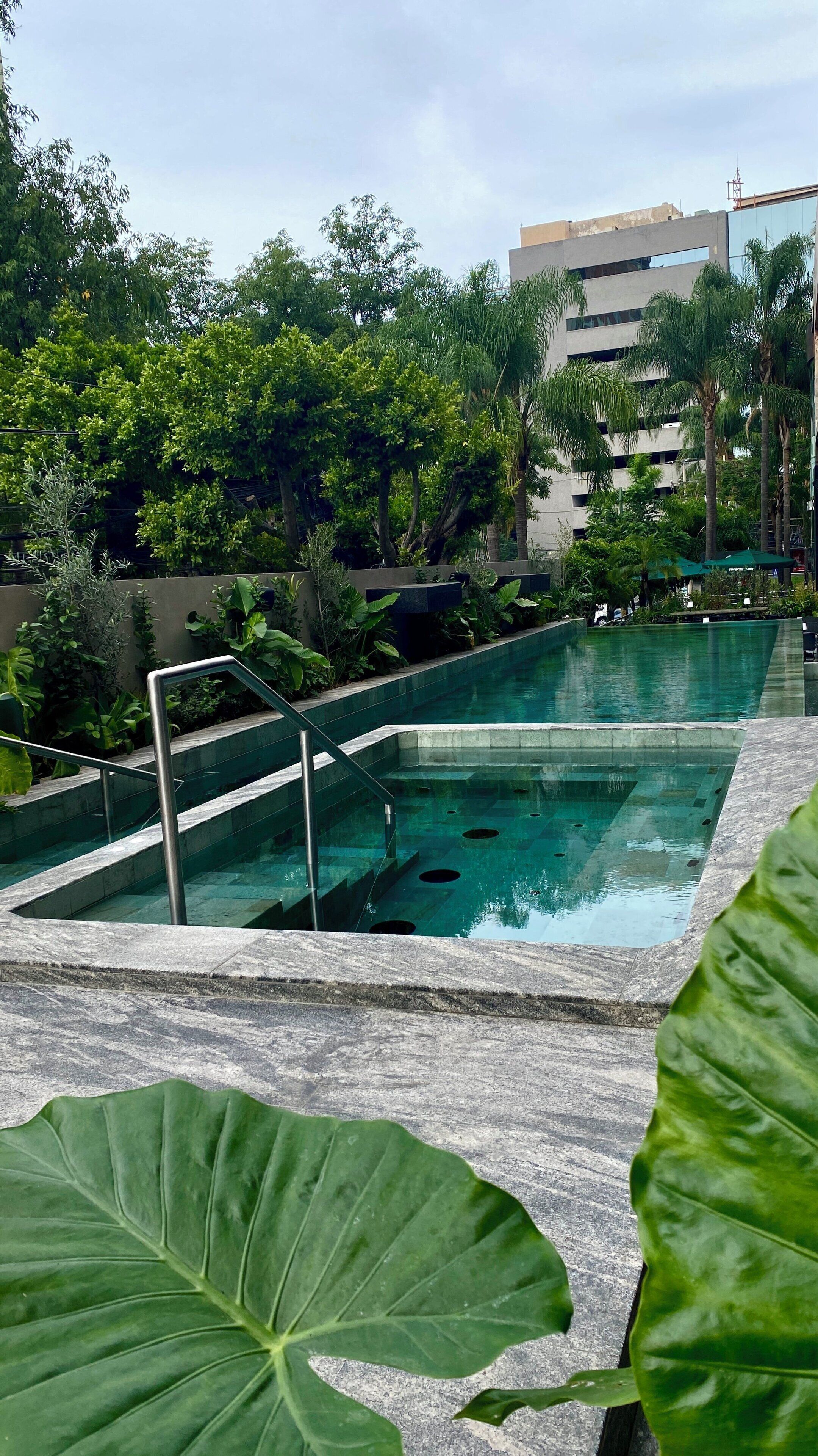 Una piscina con escalones de acceso, rodeada de abundante vegetación y un edificio moderno al fondo.