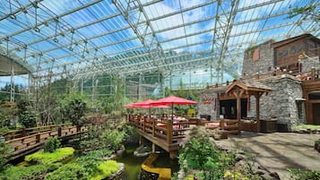 Bar (en el alojamiento)