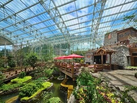 Bar (in der Unterkunft)