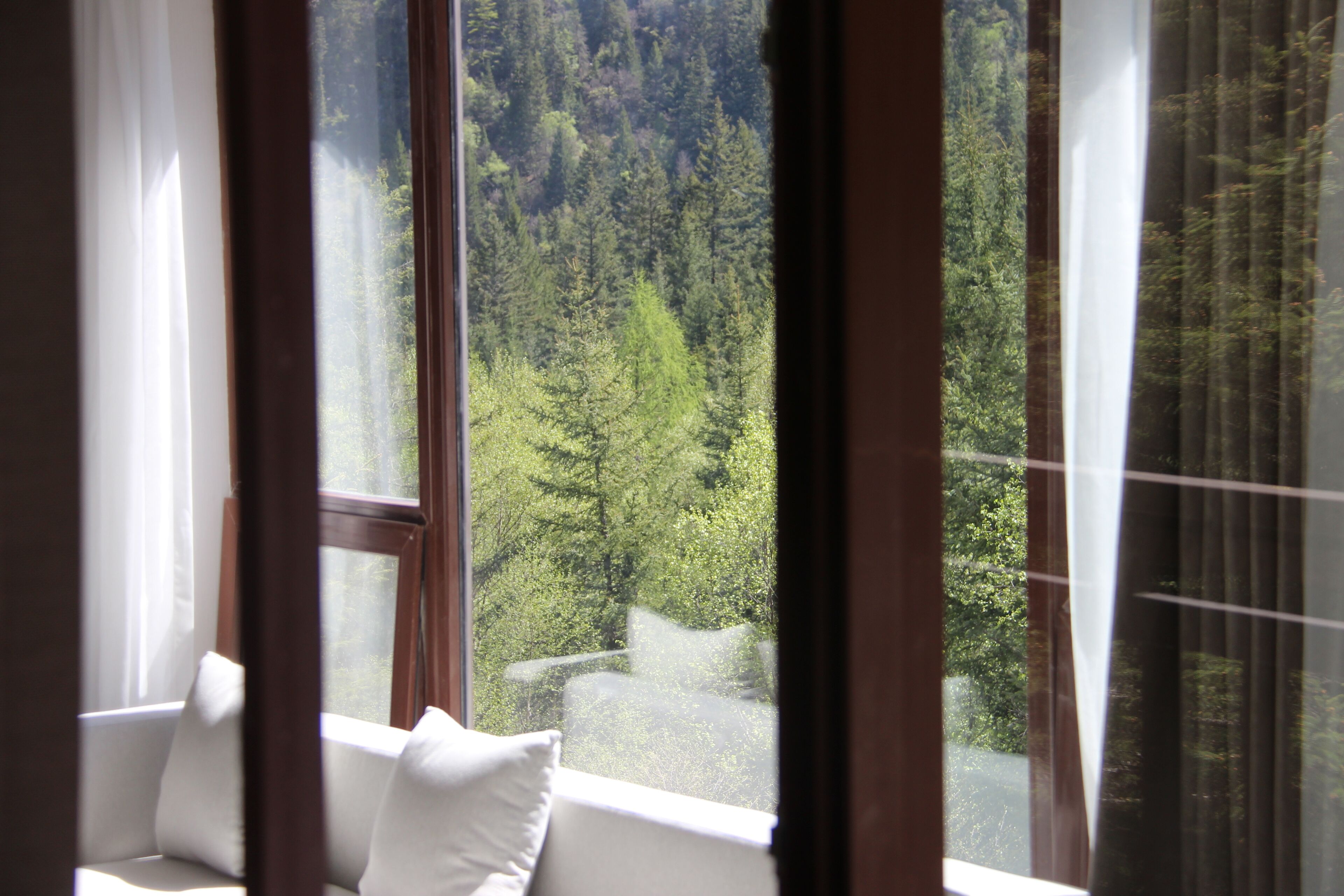 A room with a large window overlooking a forested area.