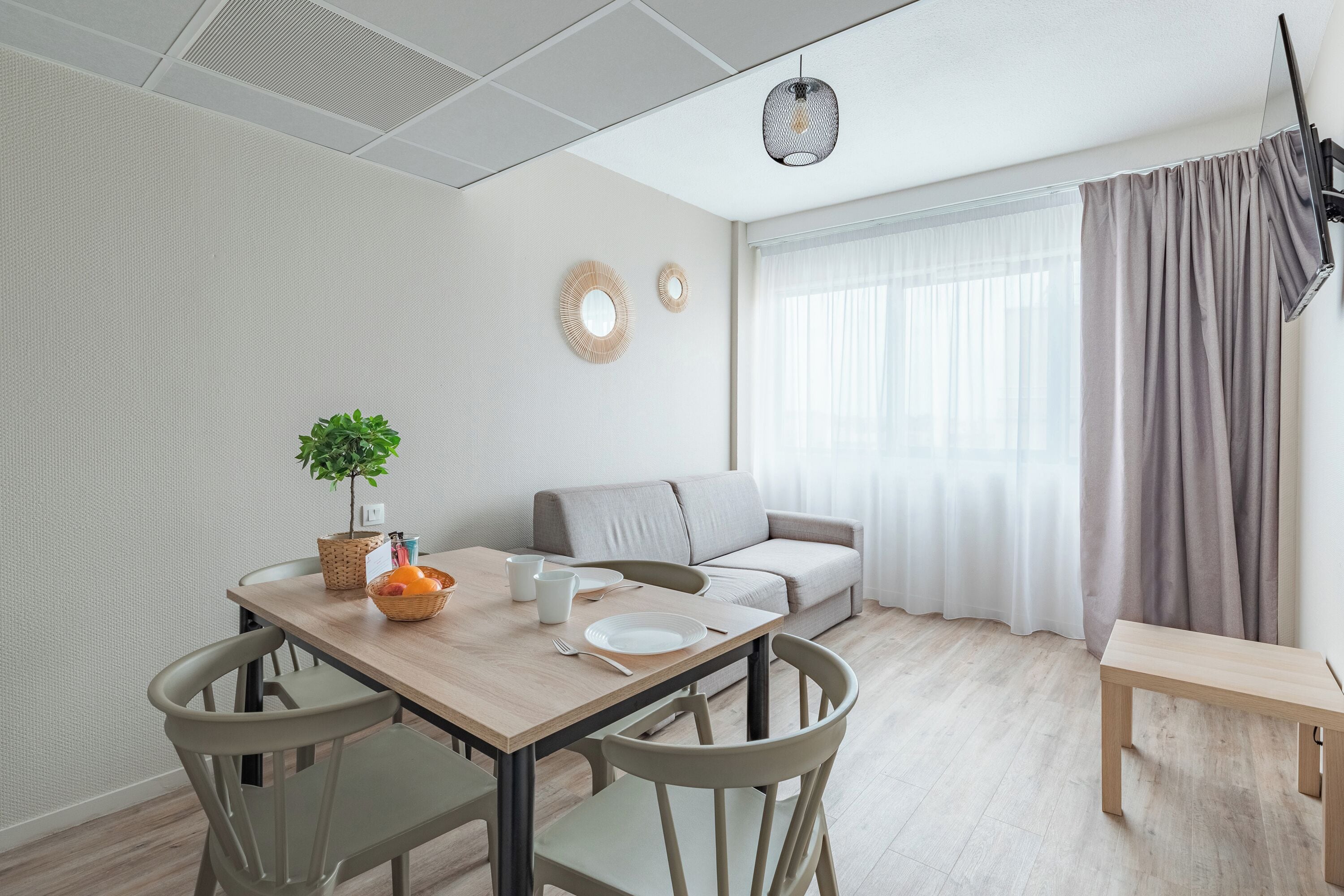A modern dining area with a wooden table, chairs, and a small potted plant.