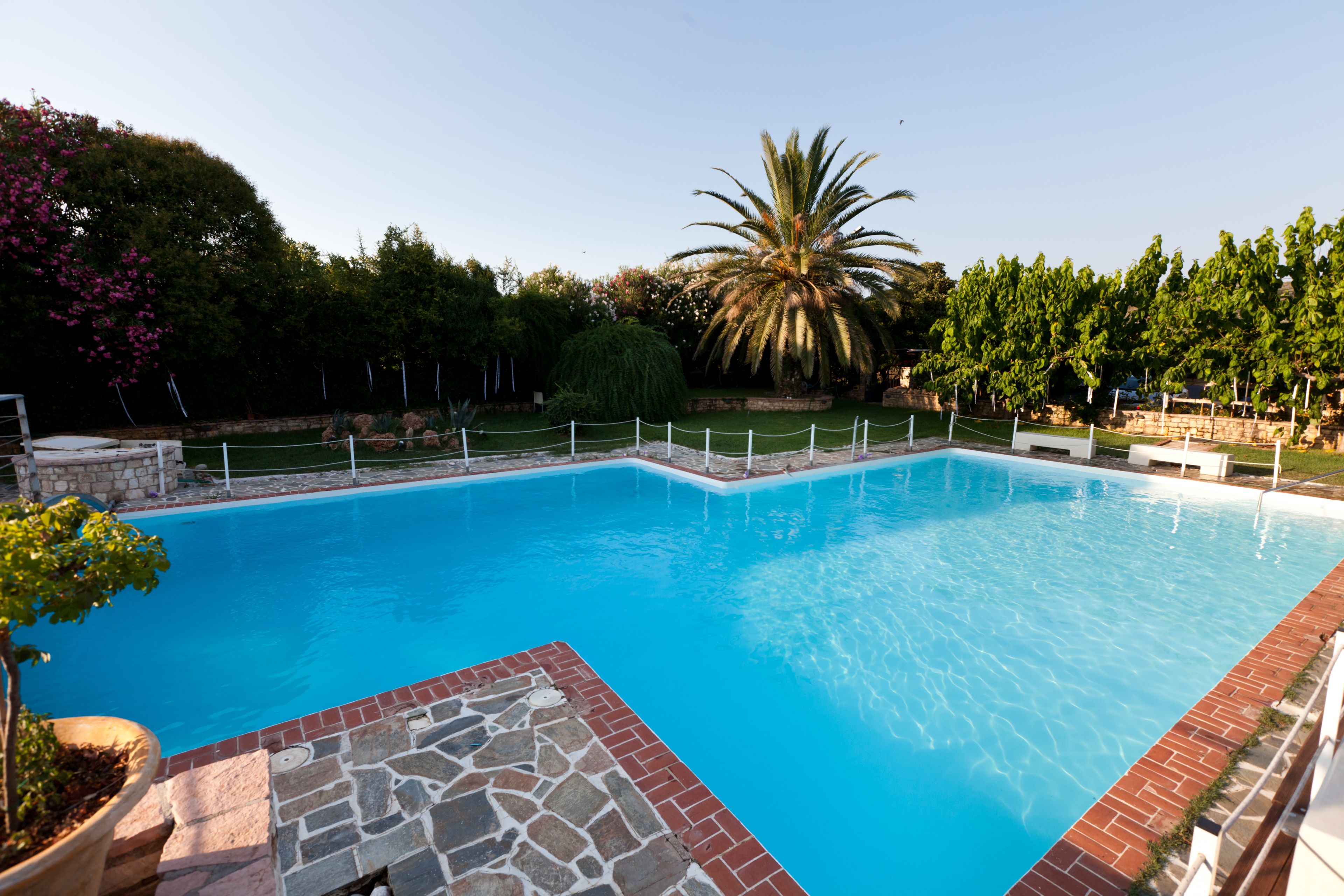 A rectangular swimming pool with a stone border, surrounded by a fence and various trees and shrubs.