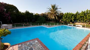 Una piscina rectangular con borde de piedra, rodeada por una valla, árboles y arbustos.