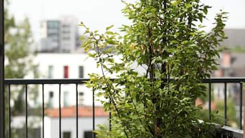 Hypo-allergenic bedding, in-room safe, laptop workspace