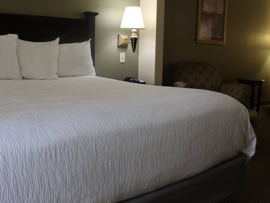 A large bed with white bedding, a dark headboard, a bedside lamp, a telephone, and two patterned armchairs.