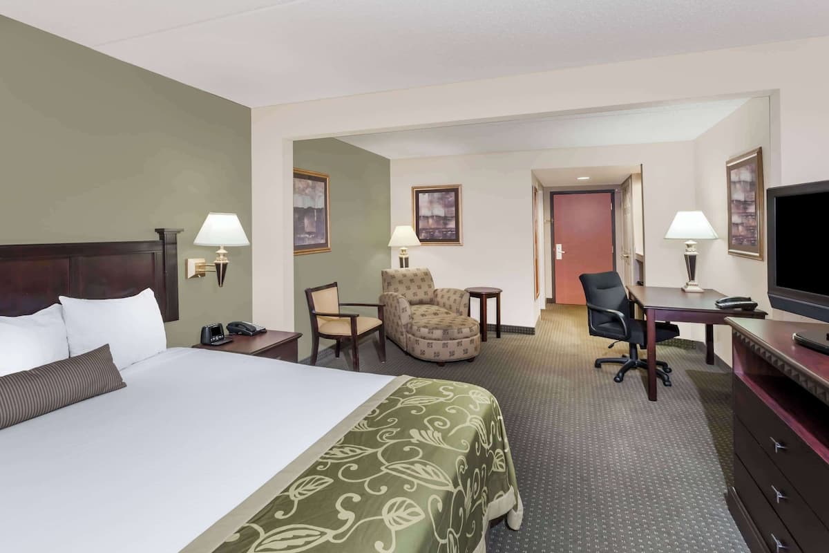Une chambre d’hôtel avec un grand lit, un bureau, une chaise et un téléviseur.