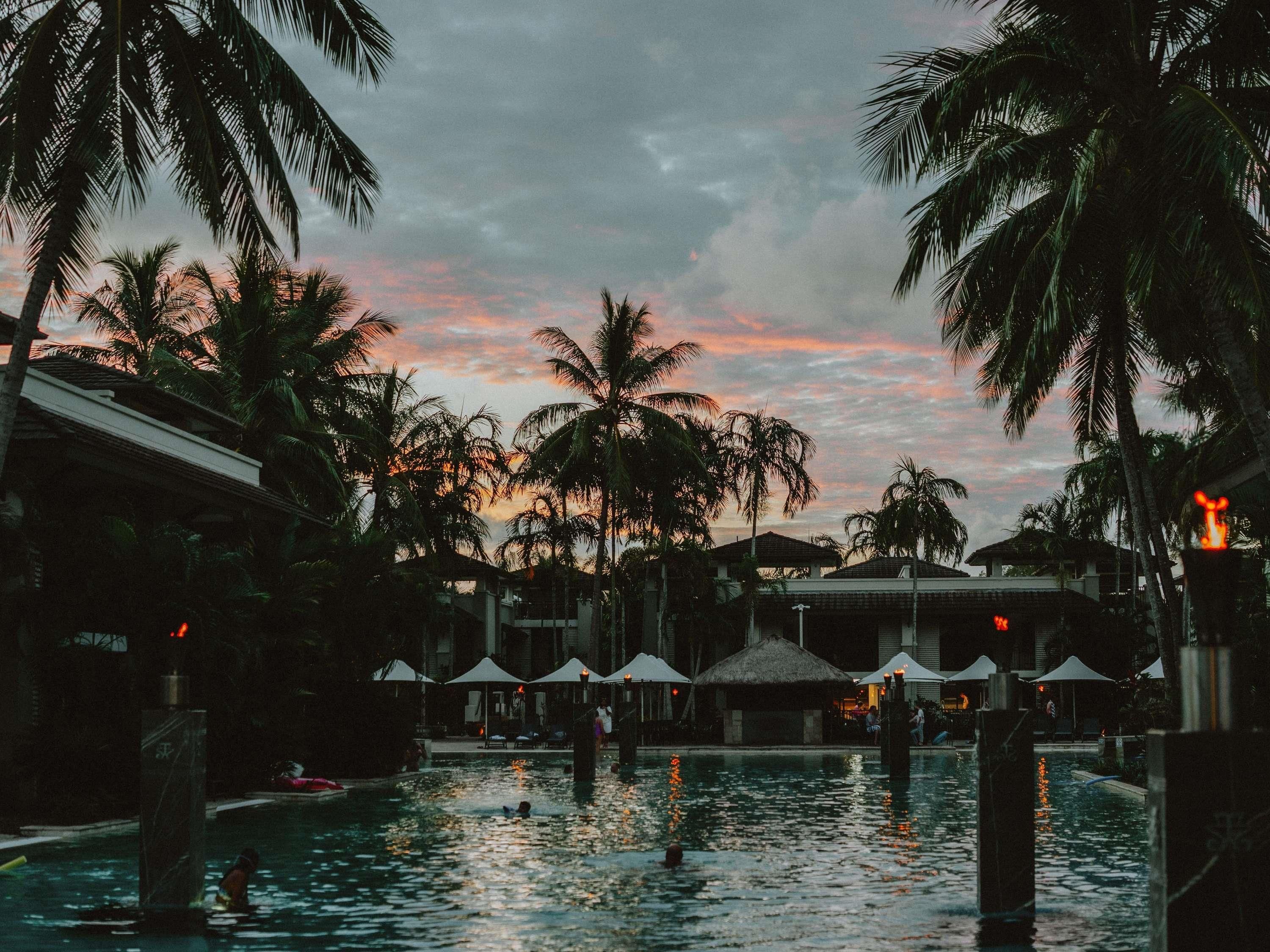 A pool area with palm trees and thatched-roof structures, likely part of a resort.