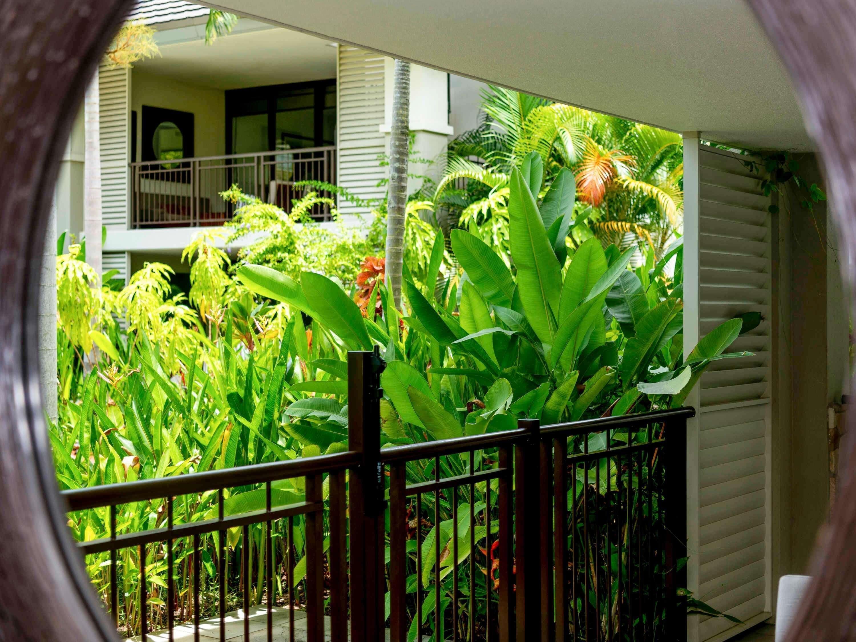 Une vue à travers la fenêtre d’une maison dotée d’un balcon, entourée d’une végétation tropicale luxuriante.