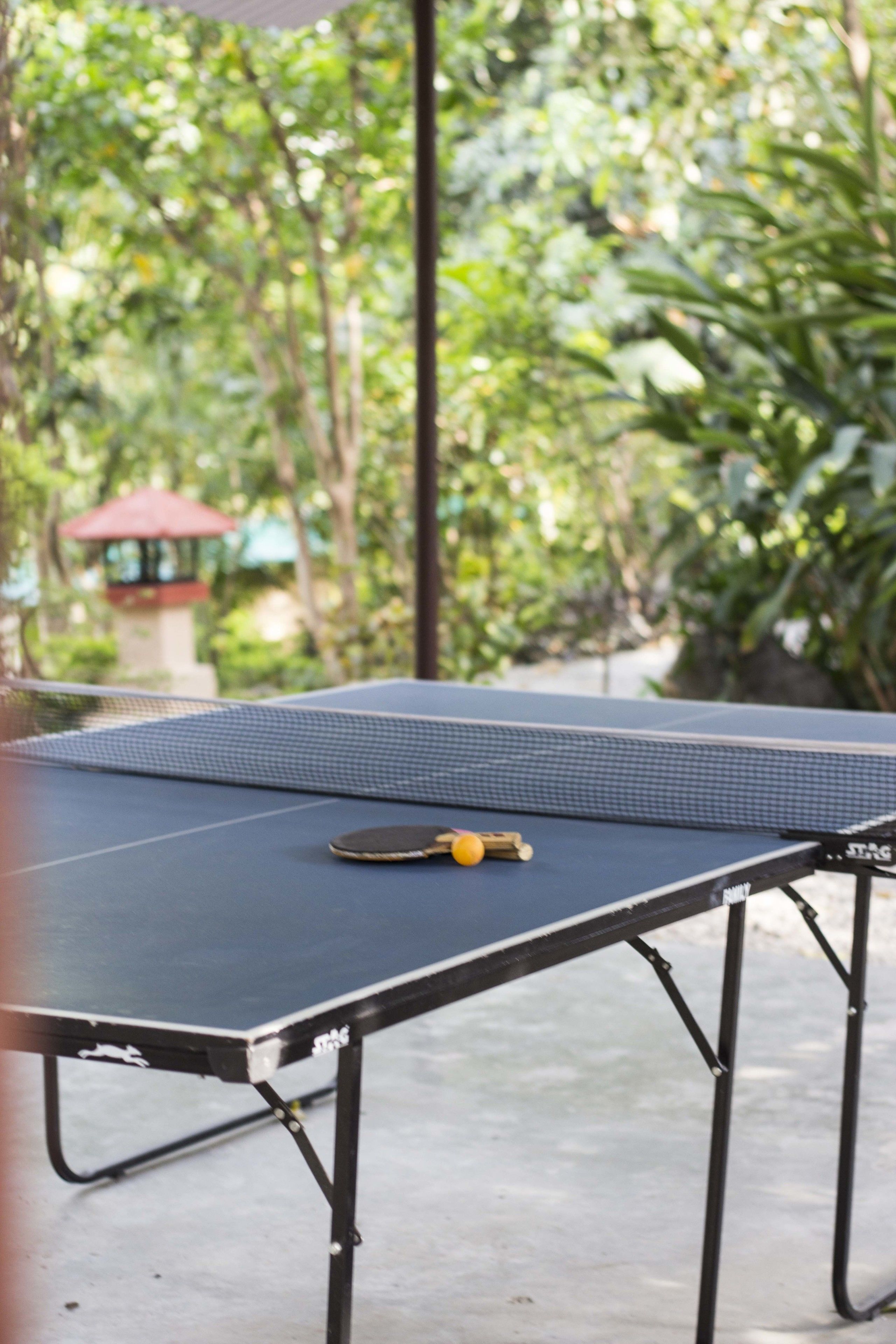 A ping pong table with a paddle and ball, surrounded by greenery.