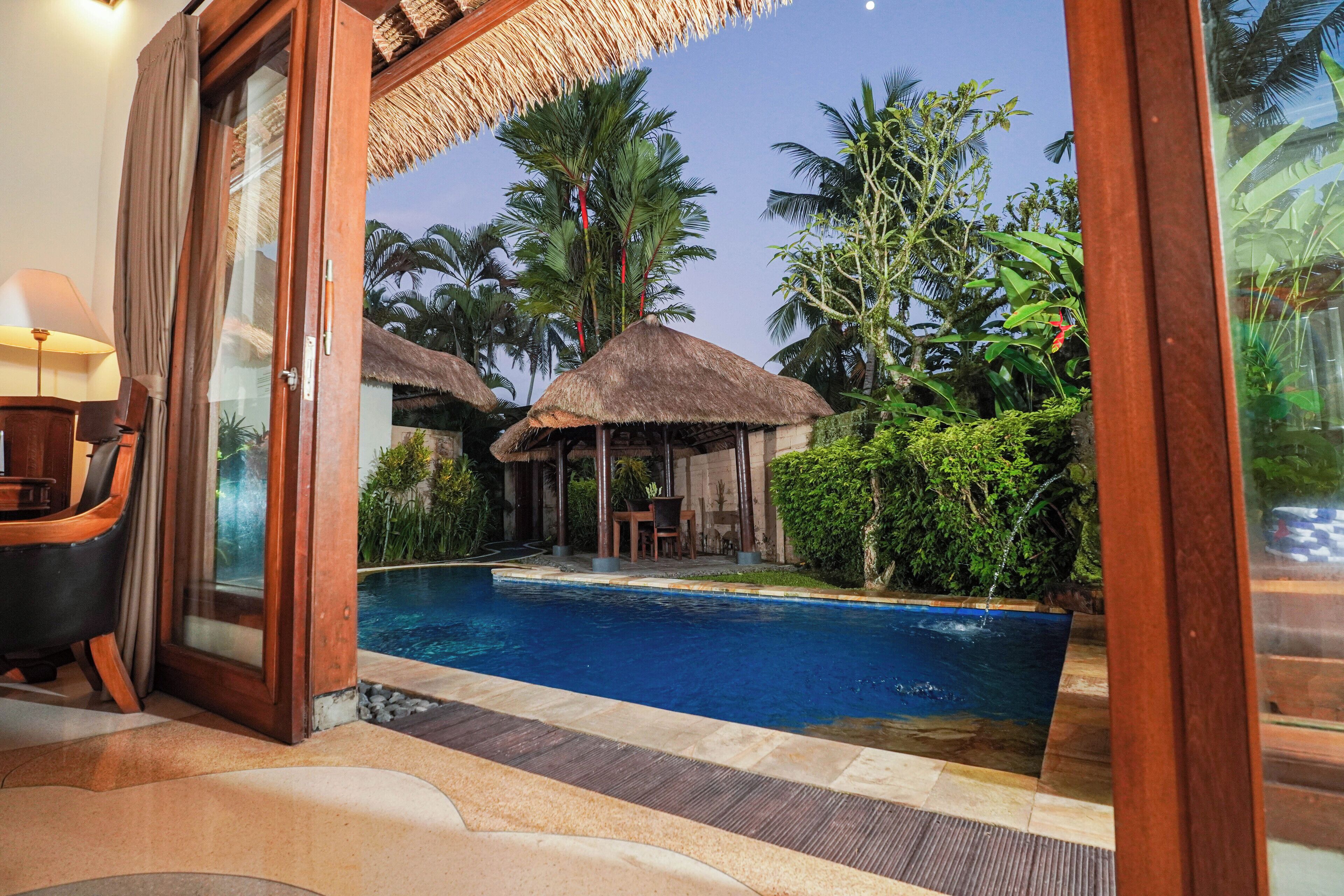 Vista de la piscina con un ventanal de vidrio que da a una habitación, una estructura con techo de paja y abundante vegetación.