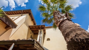 A palm tree in front of a building with a sloped roof and a small window.