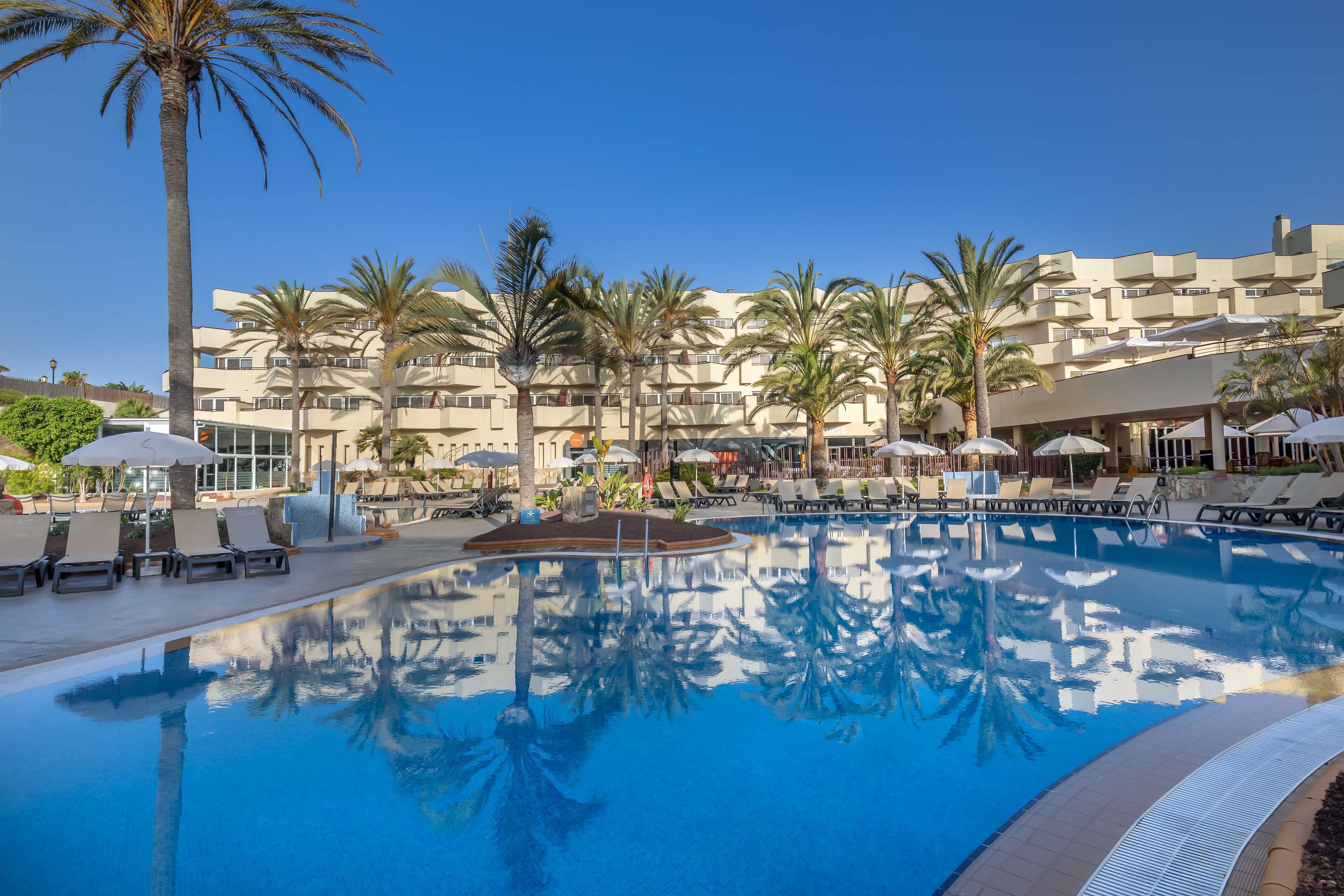 A swimming pool with lounge chairs and umbrellas, surrounded by palm trees and a multi-story building.