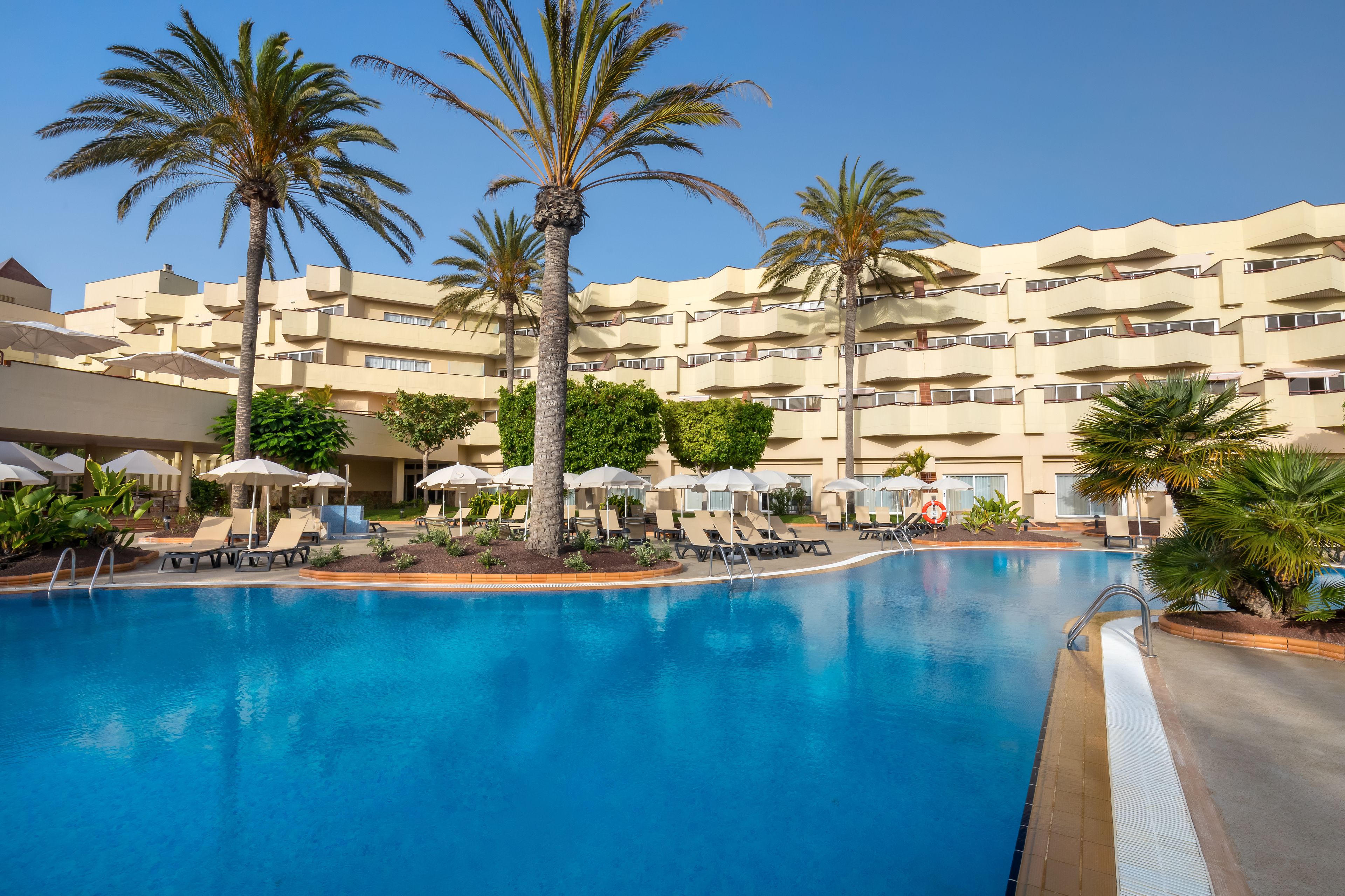 A hotel with a swimming pool, palm trees, and sun loungers.