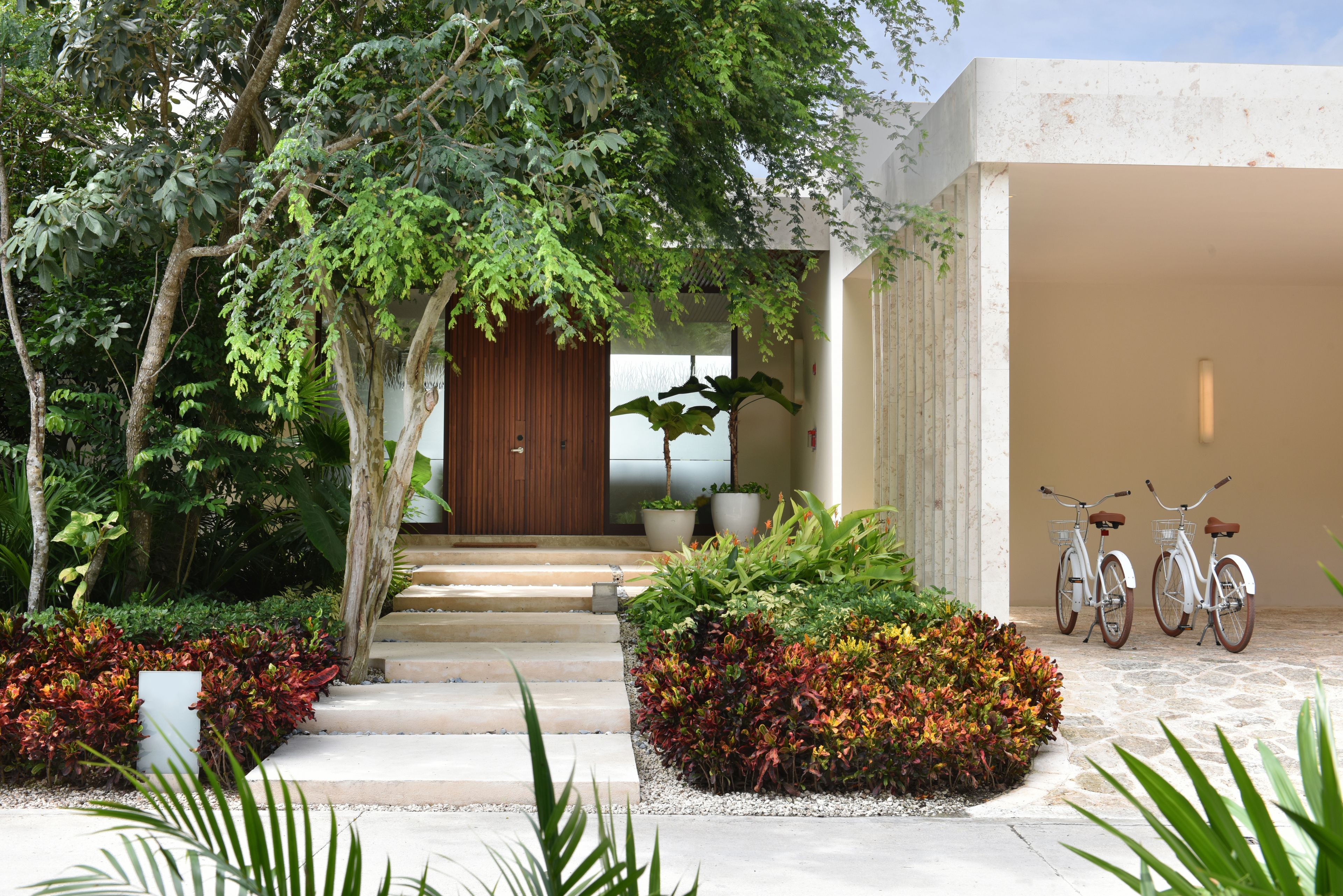 A modern building with a wooden door, potted plants, and two bicycles parked outside.