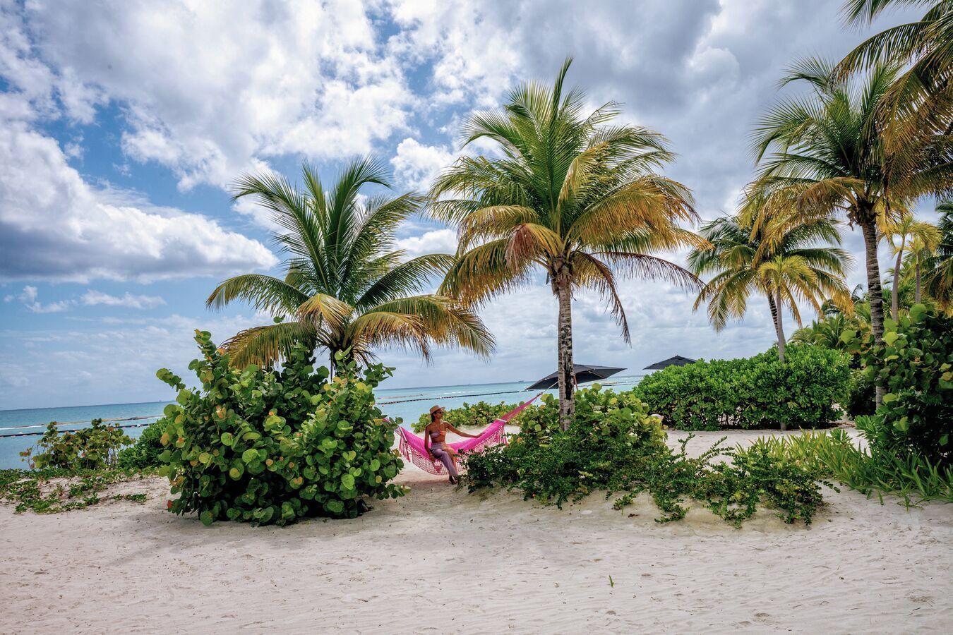 Una playa con palmeras, una hamaca y vista al océano.