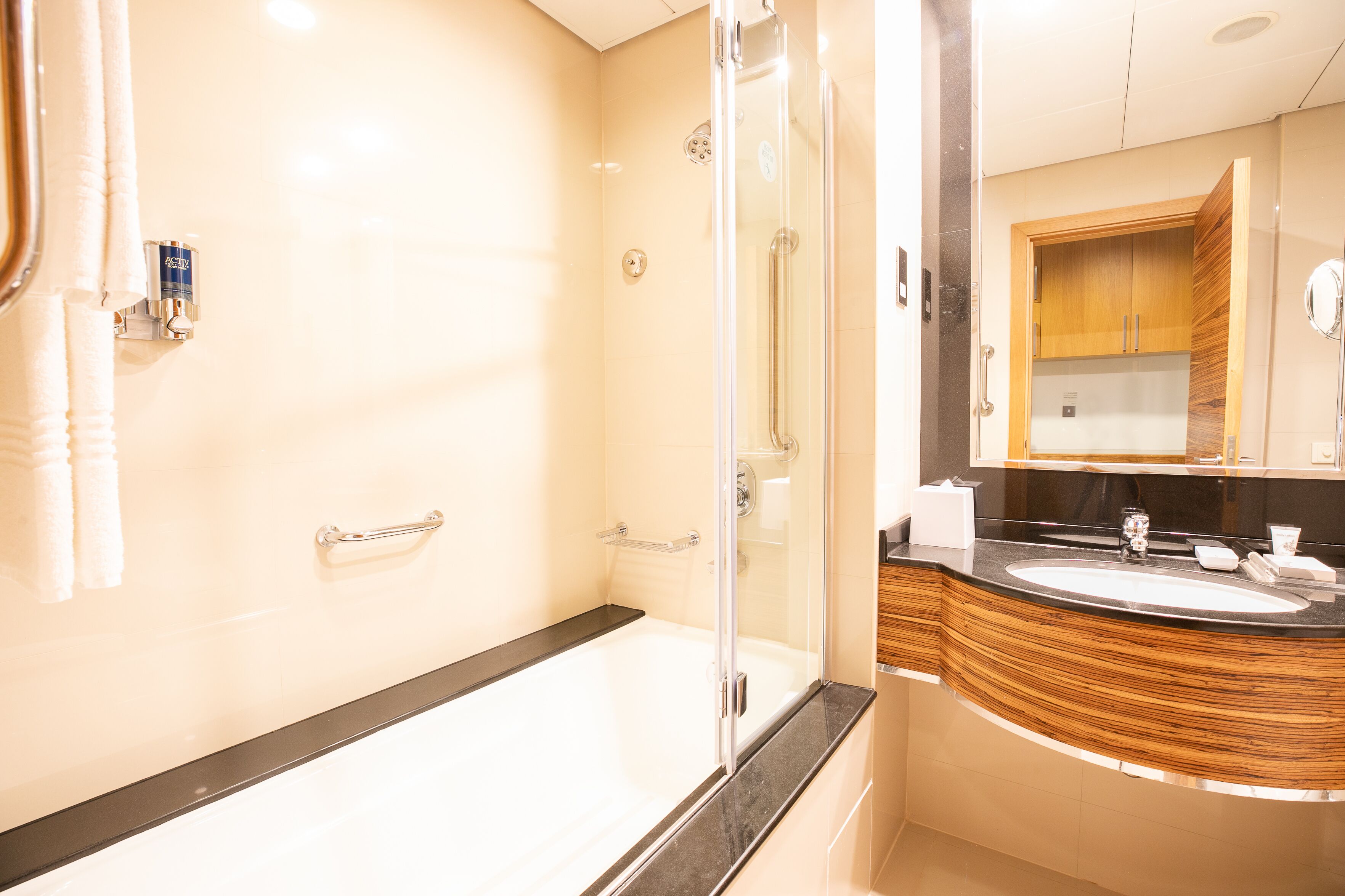 classic room, 2 twin beds, non smoking - complimentary shuttle service to dubai mall and kite beach | bathroom | combined shower/bathtub, free toiletries, hair dryer, bidet