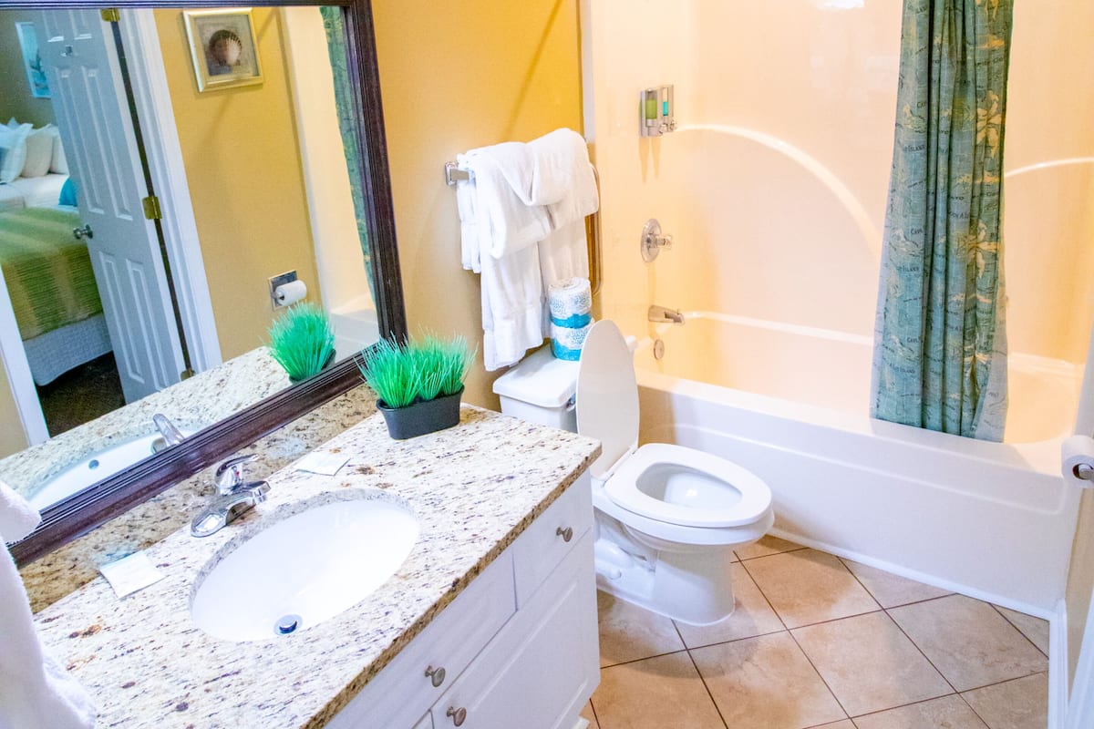 hair dryer, towels, shampoo