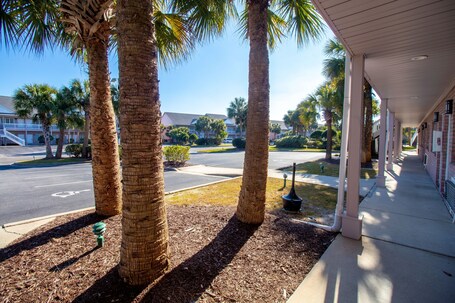 Grand Palms Resort - Image 8