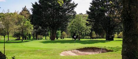 Campo de golf con un búnker, árboles y una bandera.