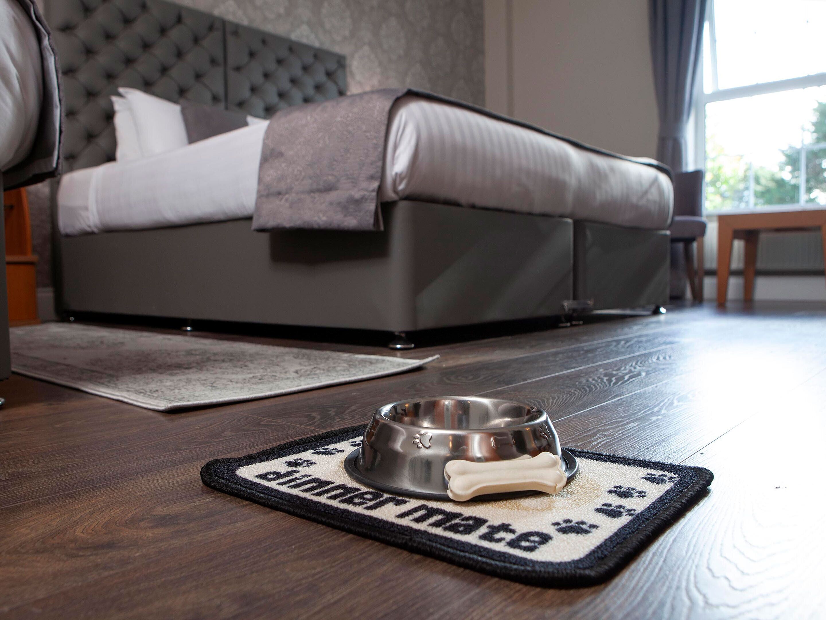 Een huisdiervriendelijk mandje met een botje op een vloerkleed in een hotelkamer.
