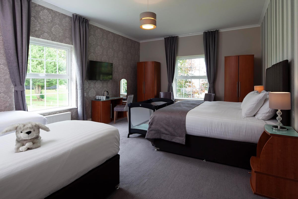 A hotel room with a bed, a desk, a chair, a television, and a window with curtains.