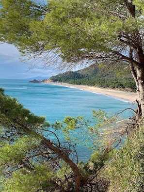Strand