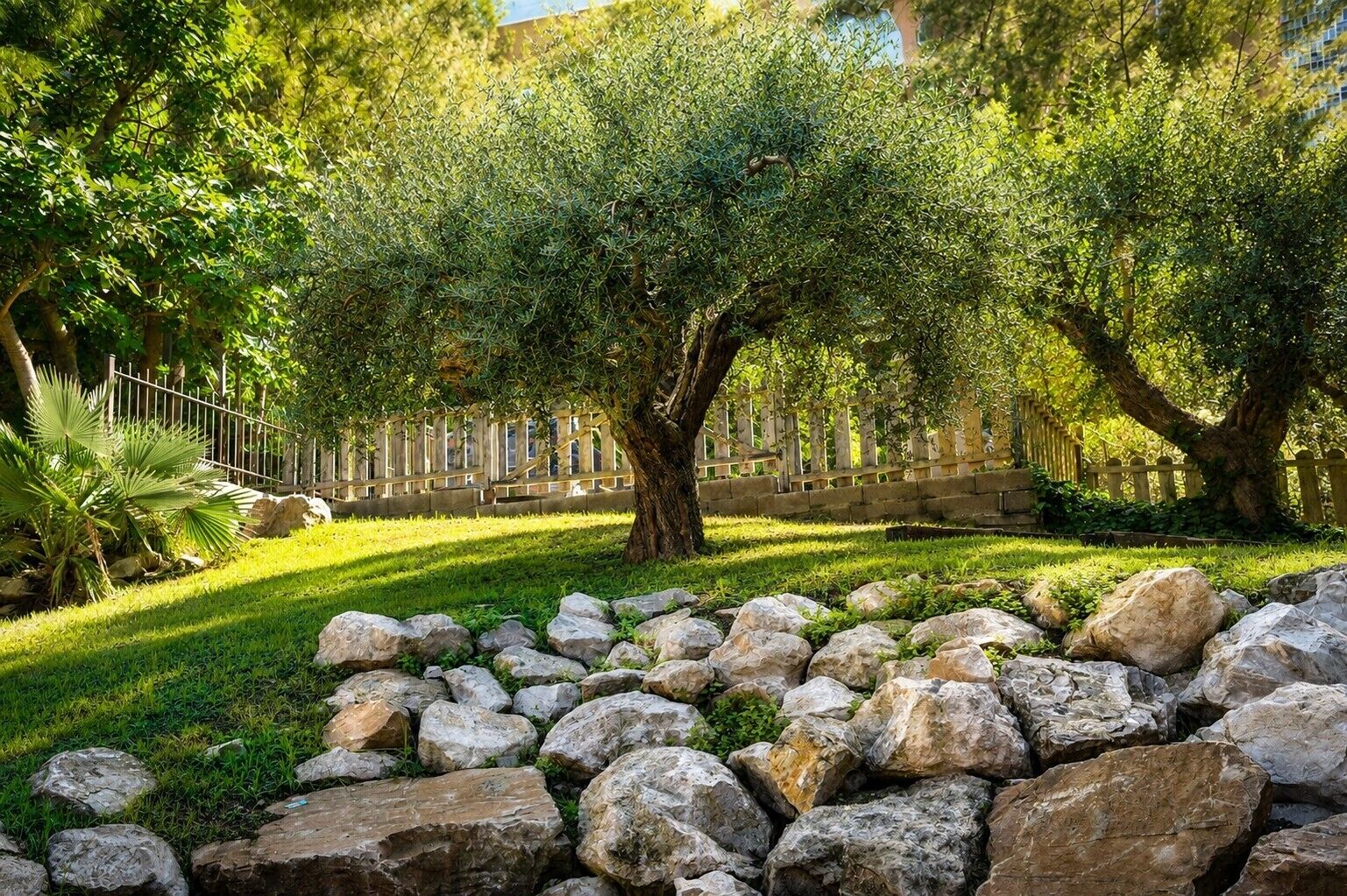 Vista para o jardim