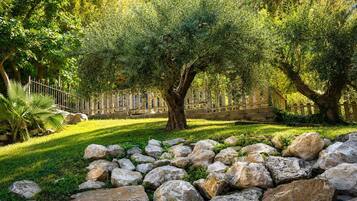 Vista para o jardim