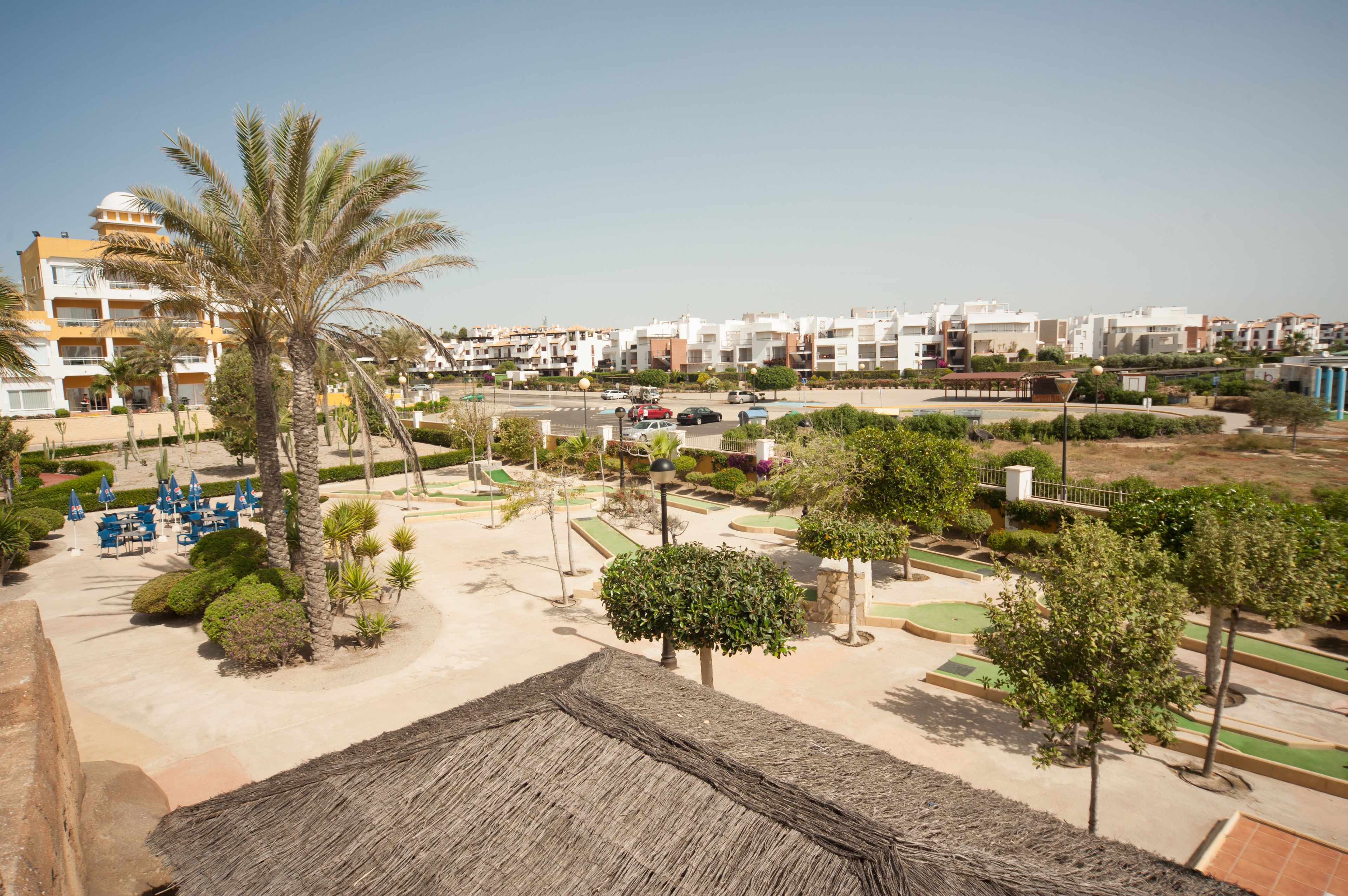 Un resort con una palmera, asientos al aire libre y vistas de los edificios circundantes.
